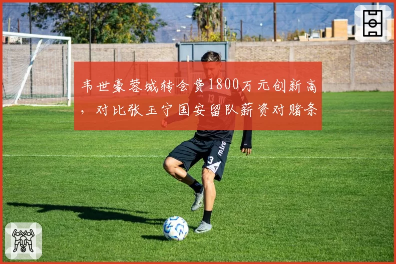 韦世豪蓉城转会费1800万元创新高，对比张玉宁国安留队薪资对赌条款风格截然不同