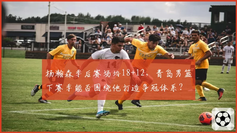 杨瀚森季后赛场均18+12,青岛男篮下赛季能否围绕他打造争冠体系?