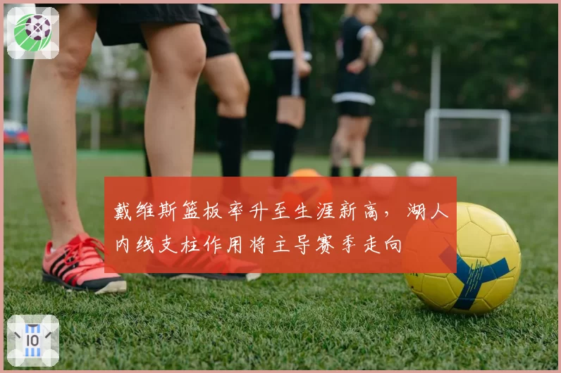 戴维斯篮板率升至生涯新高,湖人内线支柱作用将主导赛季走向