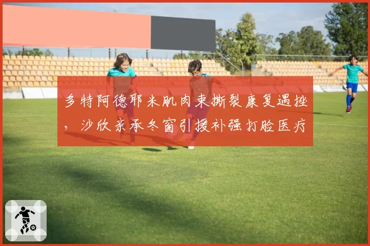 多特阿德耶米肌肉束撕裂康复遇挫,沙欣亲承冬窗引援补强打脸医疗主管